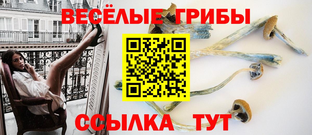 Псилоцибиновые грибы мухоморы  купить закладку  Лабинск  Вход с VPN 